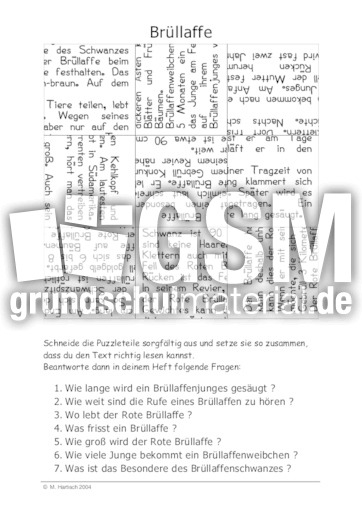 Brüllaffe.pdf